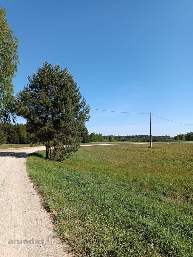 Parduodami greta esantis du žemės sklypai - nuotraukos Nr. 6