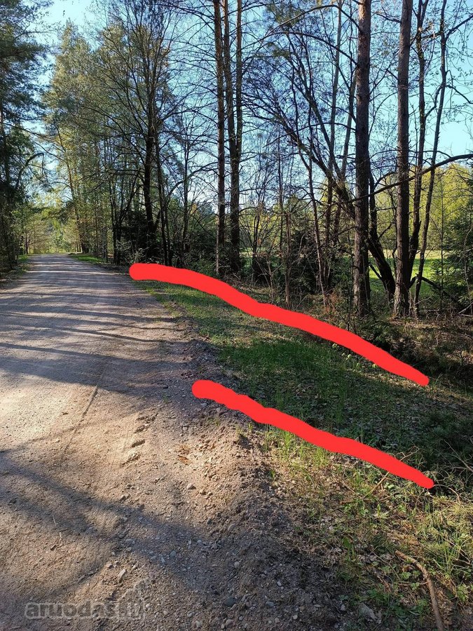 Parduodami greta esantis du žemės sklypai - nuotraukos Nr. 8
