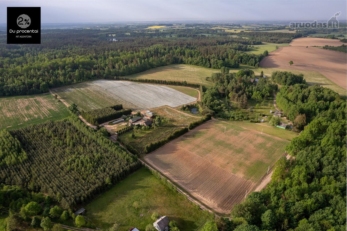 Parduodamas Pilnai Veikiantis Braškių Verslas
