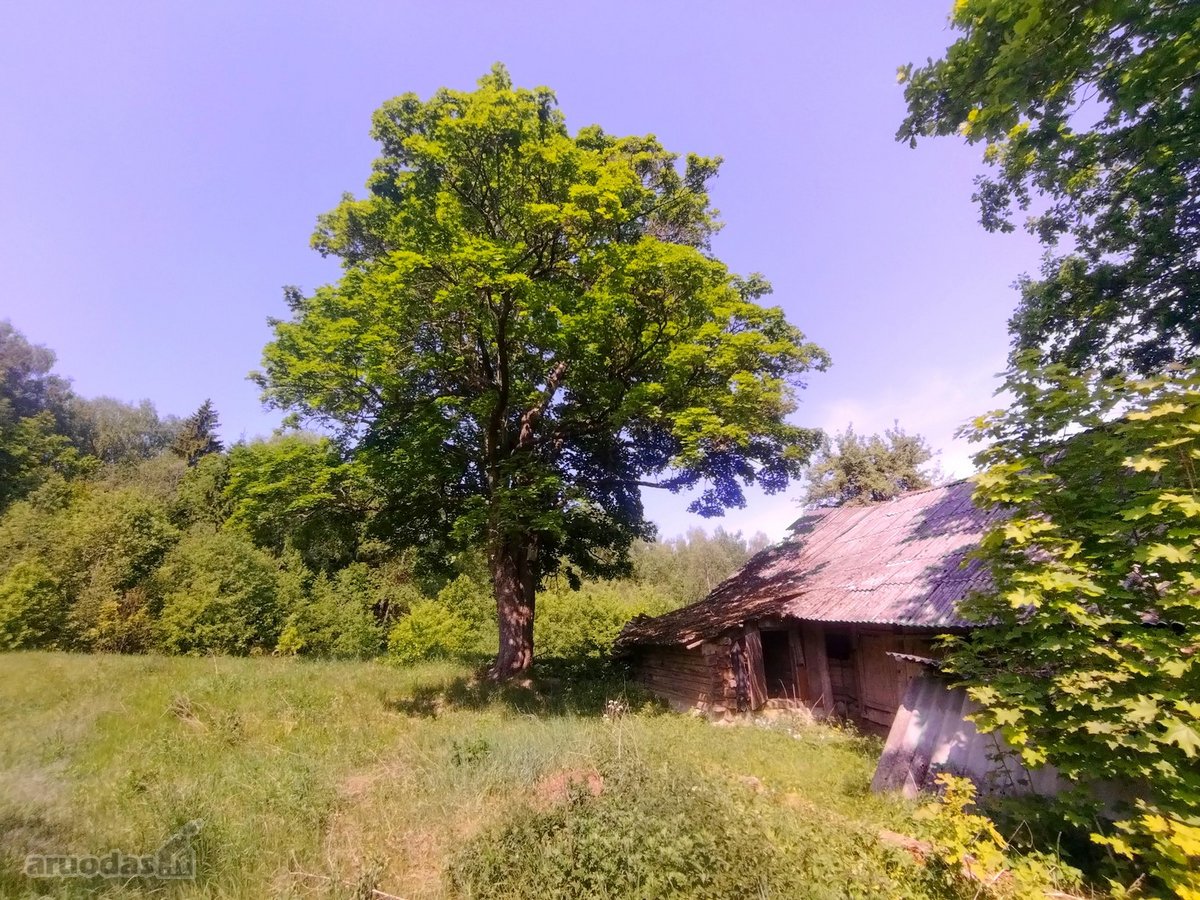 Švenčionių raj., Beržinkų vs. 6, nuosavame - nuotraukos Nr. 7