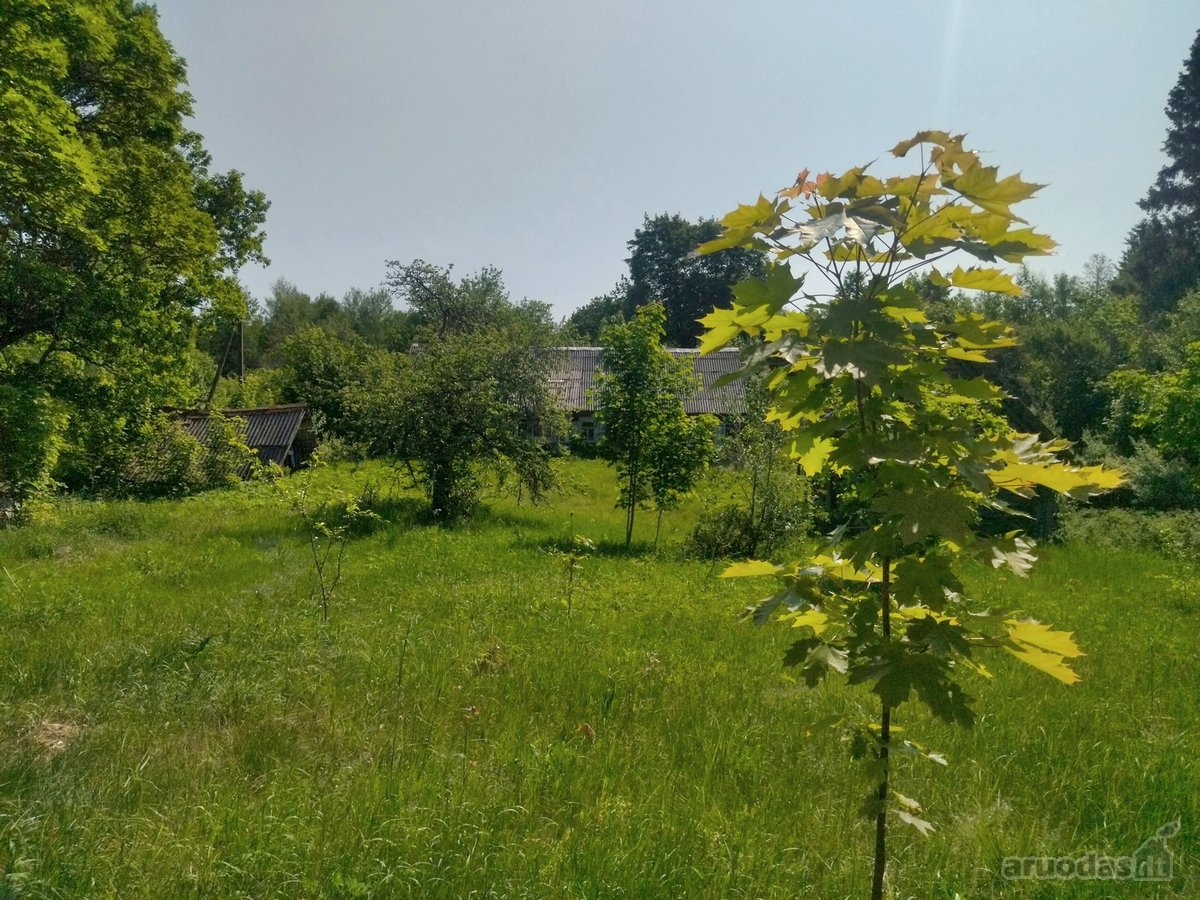 Švenčionių raj., Beržinkų vs. 6, nuosavame - nuotraukos Nr. 18