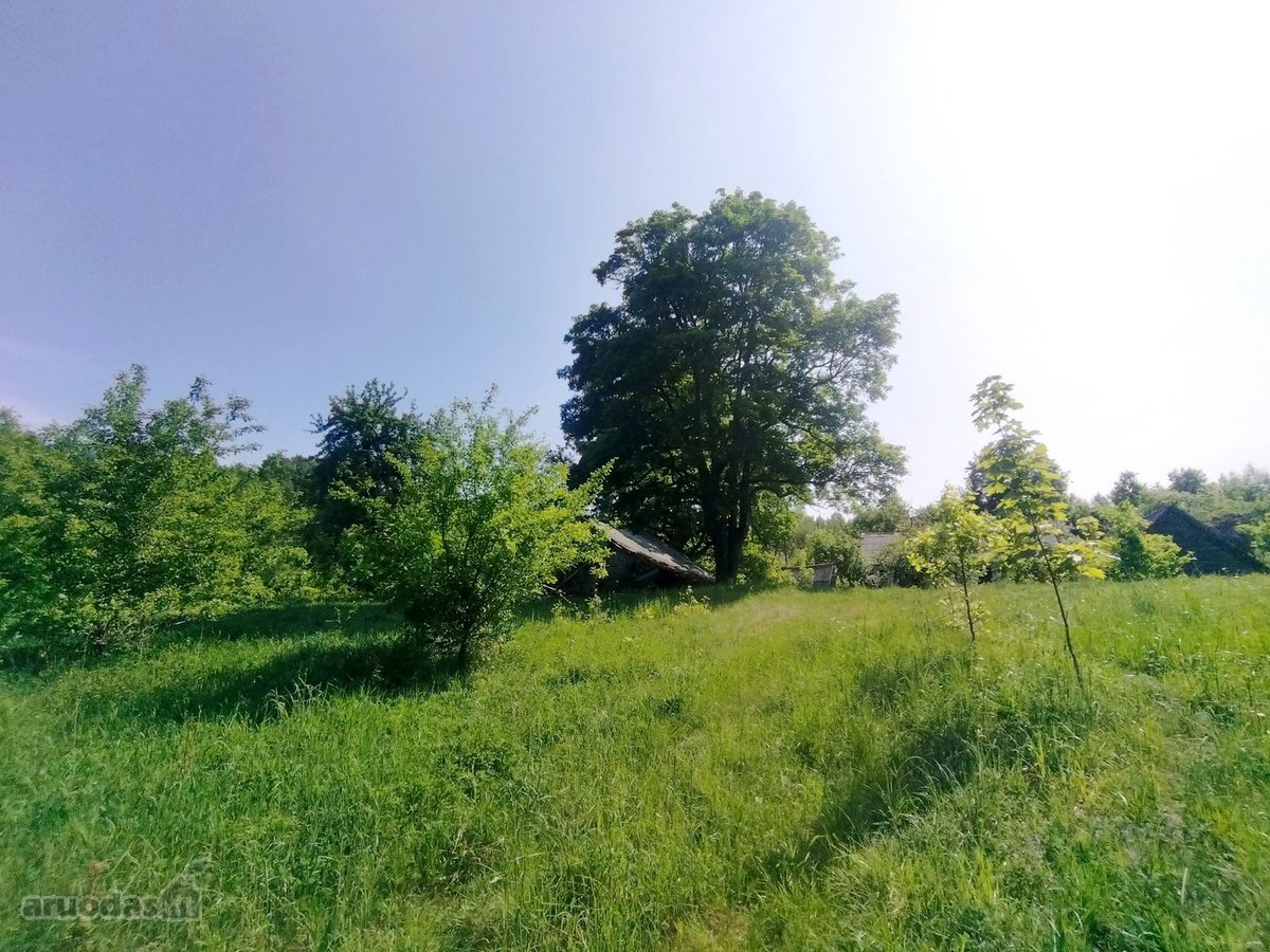 Švenčionių raj., Beržinkų vs. 6, nuosavame - nuotraukos Nr. 19