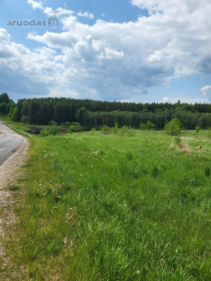 Prie įvažiavimo į Saldutiškį , ribojasi su