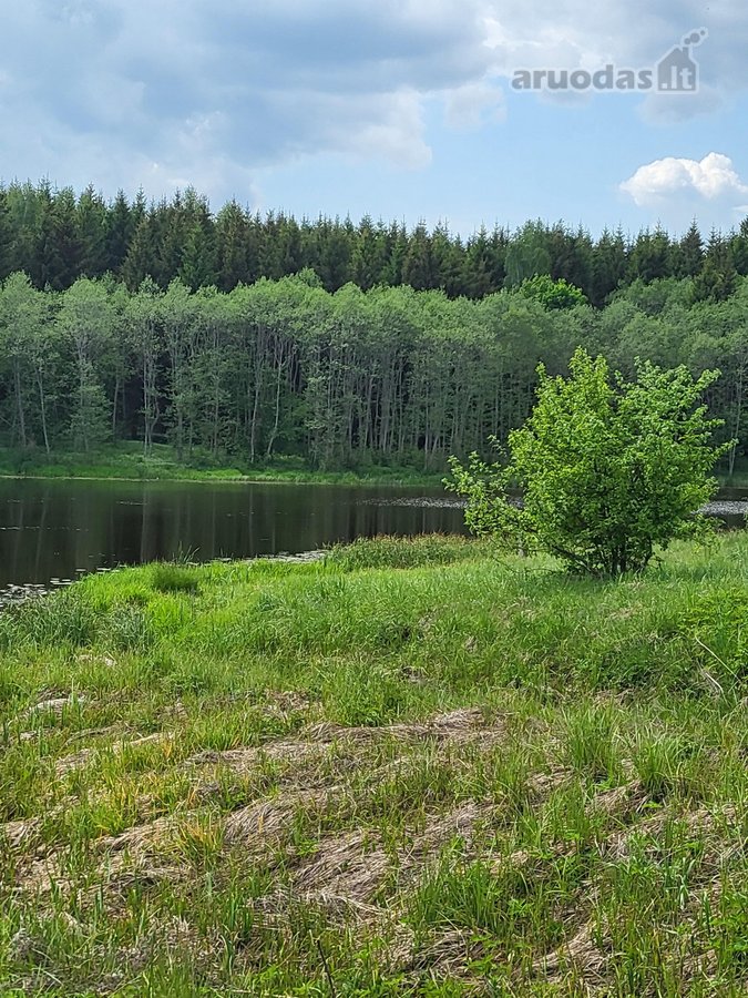 Prie įvažiavimo į Saldutiškį , ribojasi su - nuotraukos Nr. 2