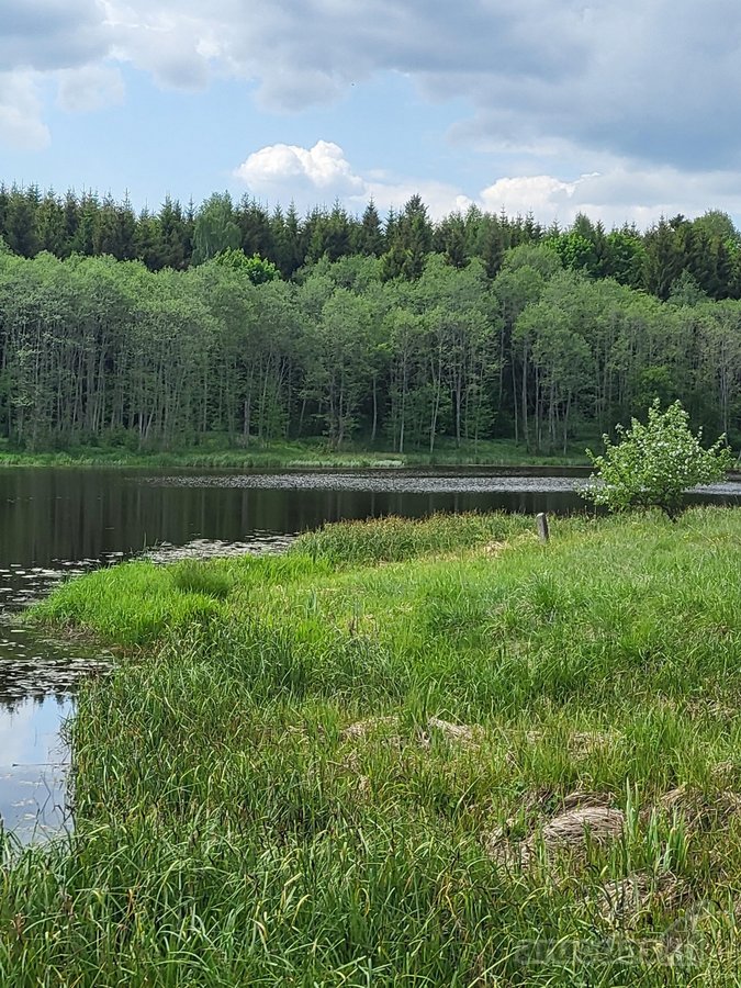 Prie įvažiavimo į Saldutiškį , ribojasi su - nuotraukos Nr. 3