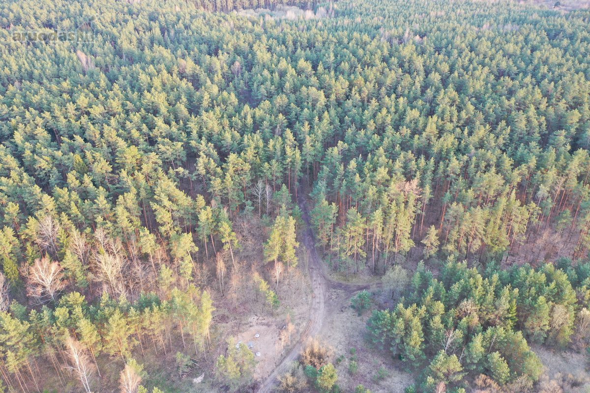 Parduodamas išskirtinis ir vienetinis sklypas! - nuotraukos Nr. 21