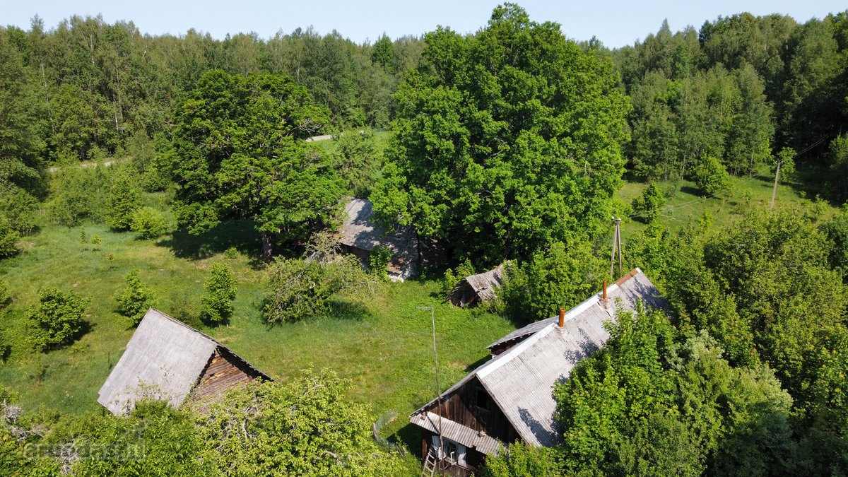 Švenčionių raj., Beržinkų vs. 6, nuosavame - nuotraukos Nr. 8