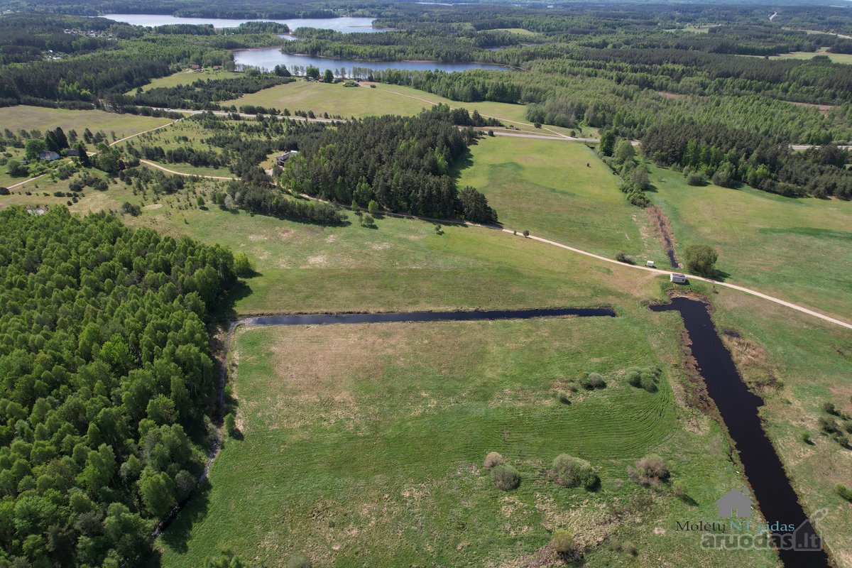 50 arų sklypas šalia Molėtų- patogi vieta - nuotraukos Nr. 2