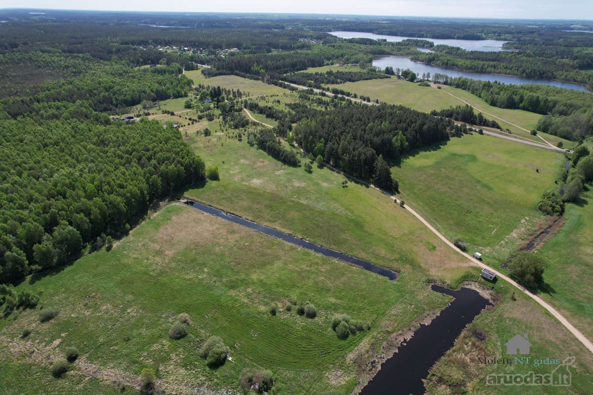 50 arų sklypas šalia Molėtų- patogi vieta - nuotraukos Nr. 4