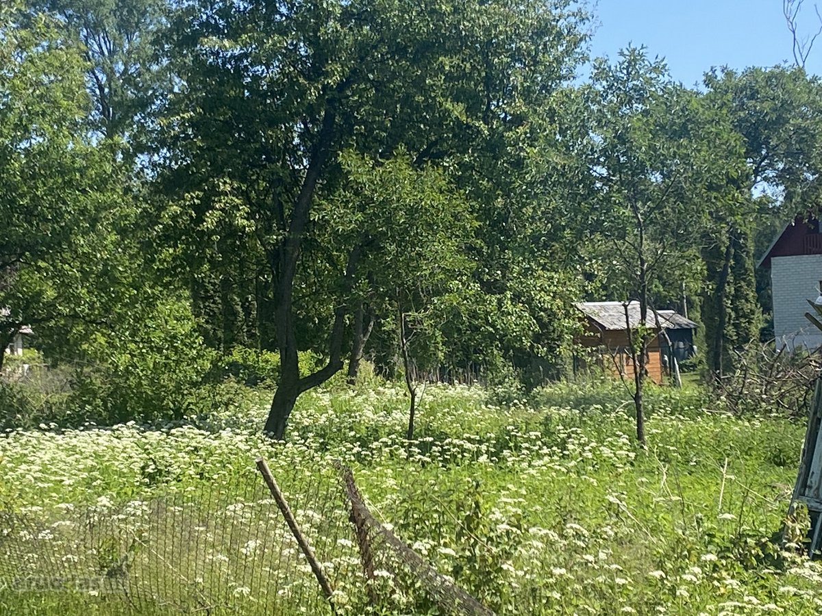 Sklypas, Prienų R. Papilvio K. Sklypas Nekilnojamo Turto Skelbimai ...