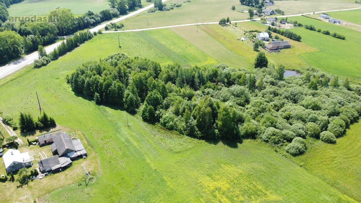 Parduodamas žemės ūkio paskirties sklypas - nuotraukos Nr. 7