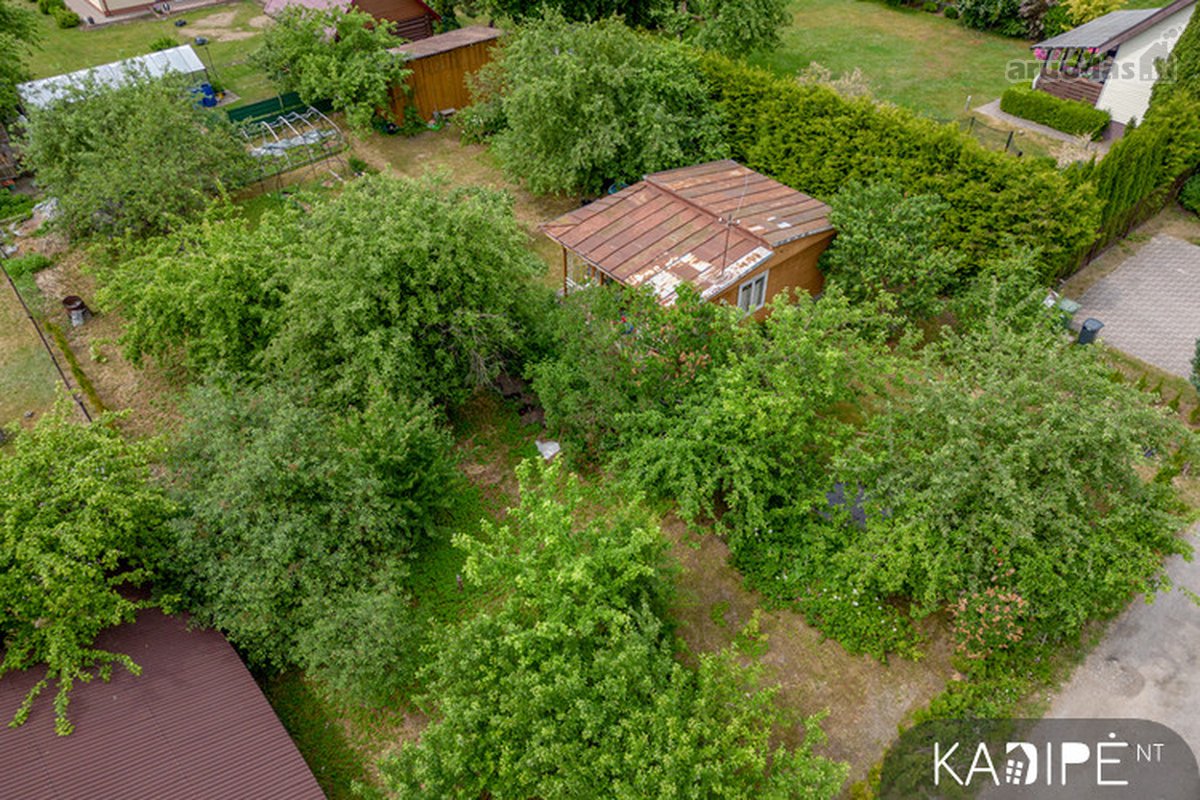 Vilniaus mieste Kelmijos Sodų 73-iojoje - nuotraukos Nr. 3
