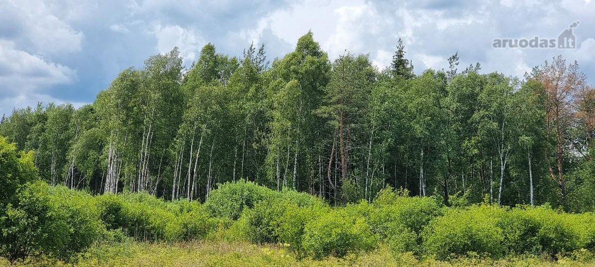 Parduodami žemės ūkio paskirties sklypai - nuotraukos Nr. 9