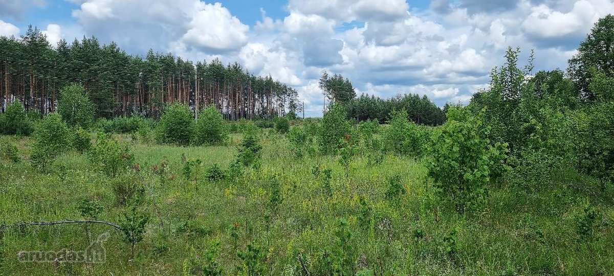 Parduodami žemės ūkio paskirties sklypai - nuotraukos Nr. 16
