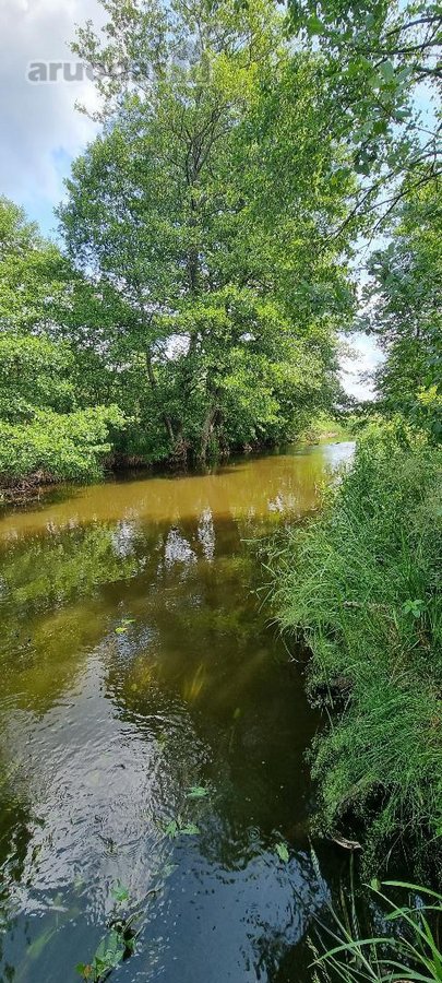 Parduodami žemės ūkio paskirties sklypai - nuotraukos Nr. 10