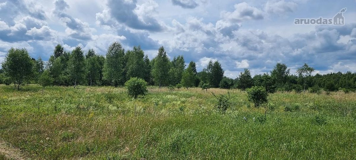 Parduodami žemės ūkio paskirties sklypai - nuotraukos Nr. 19