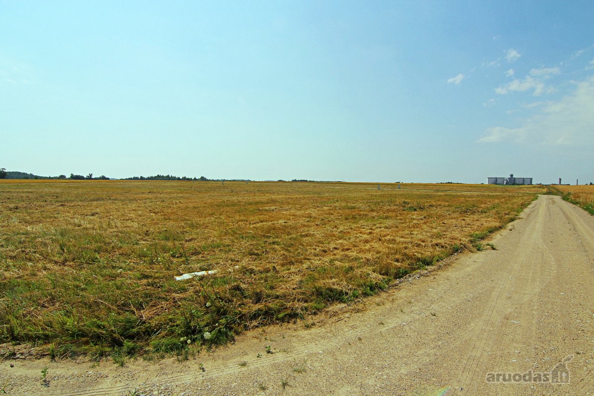 Namų valdos sklypai gyvenamųjų namų statybai - nuotraukos Nr. 7