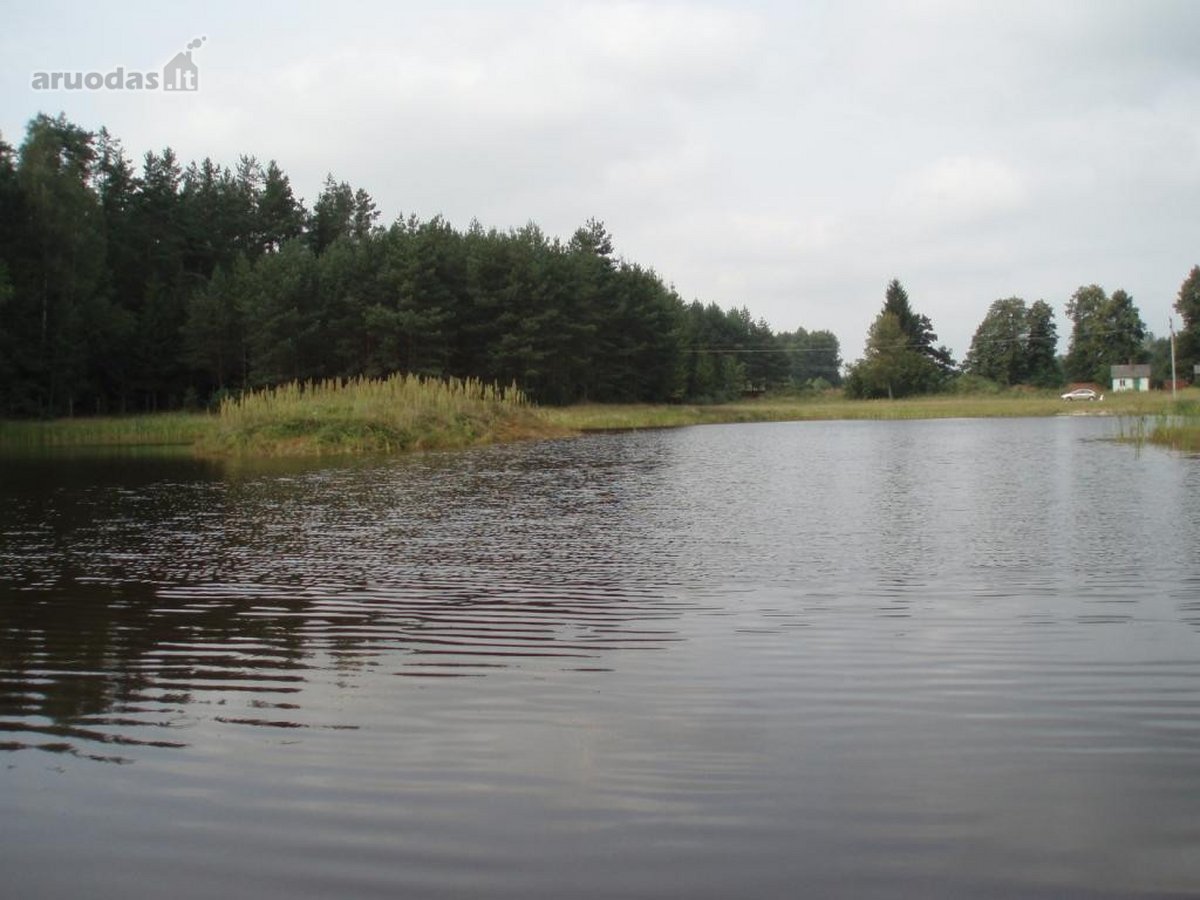 Parduodamas 3,94 ha namų valdos, žemės ūkio, - nuotraukos Nr. 2