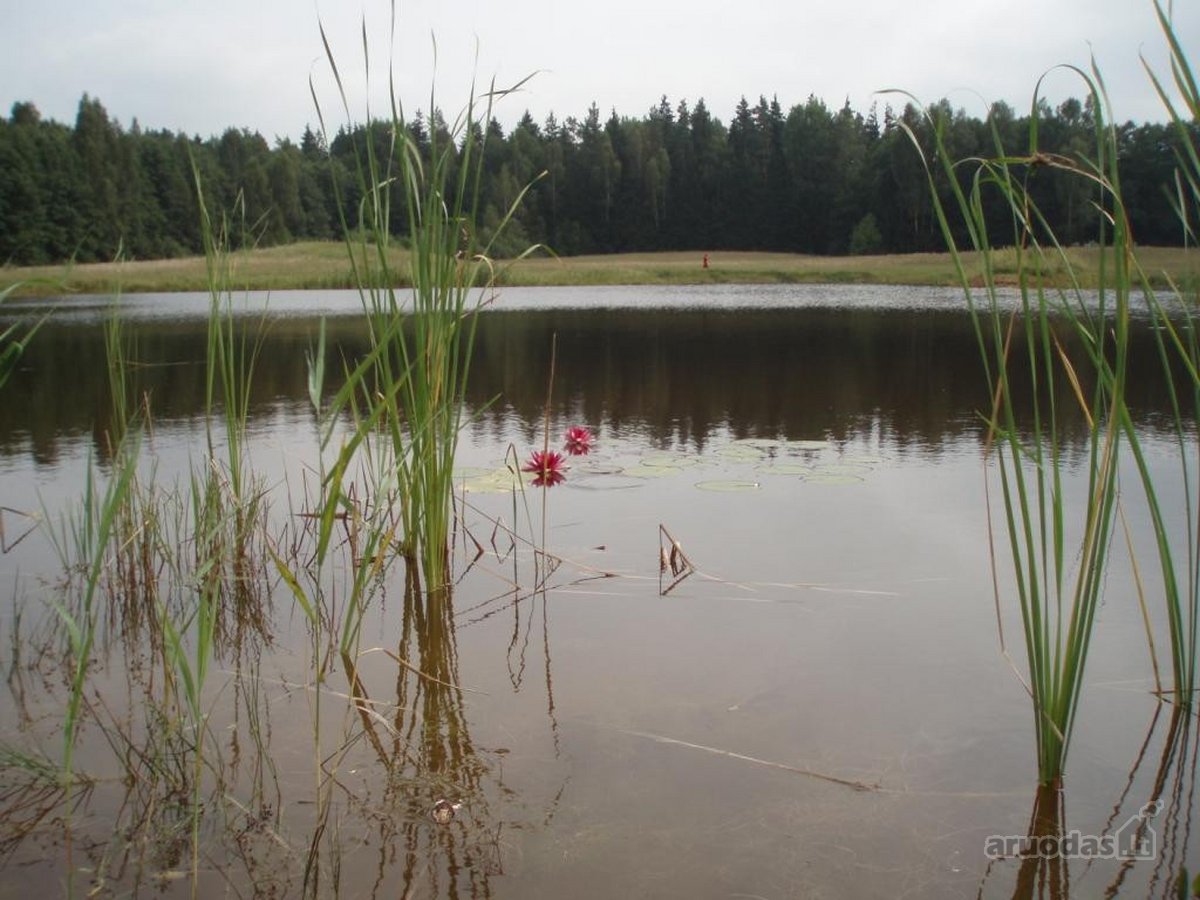 Parduodamas 3,94 ha namų valdos, žemės ūkio, - nuotraukos Nr. 3