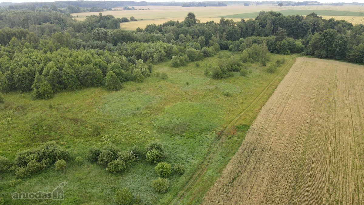 Parduodamas 2,1150 Ha Sklypas Musninkėliuose - nuotraukos Nr. 6