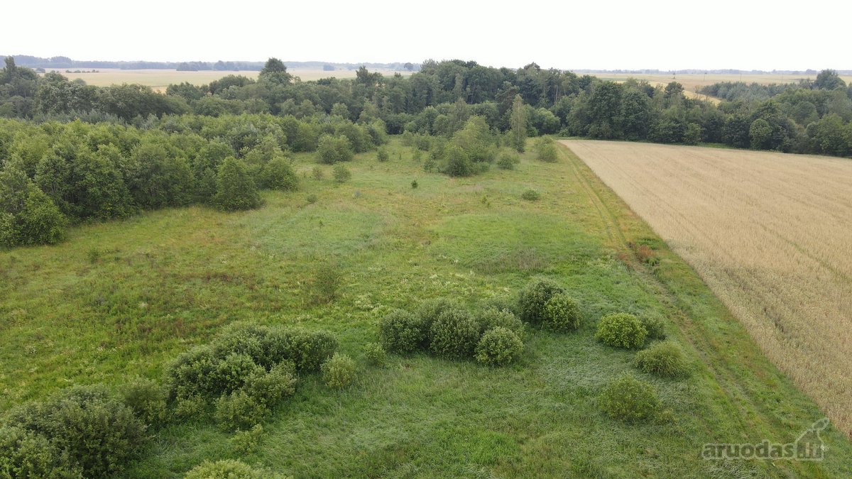 Parduodamas 2,1150 Ha Sklypas Musninkėliuose - nuotraukos Nr. 7
