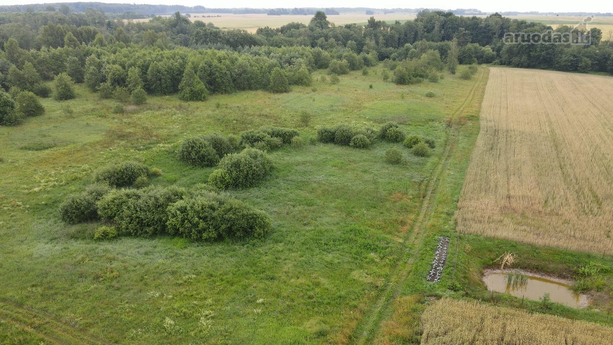 Parduodamas 2,1150 Ha Sklypas Musninkėliuose - nuotraukos Nr. 8