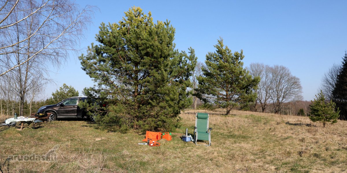 Nuostabaus grožio Asvejos regioniniame parke - nuotraukos Nr. 7