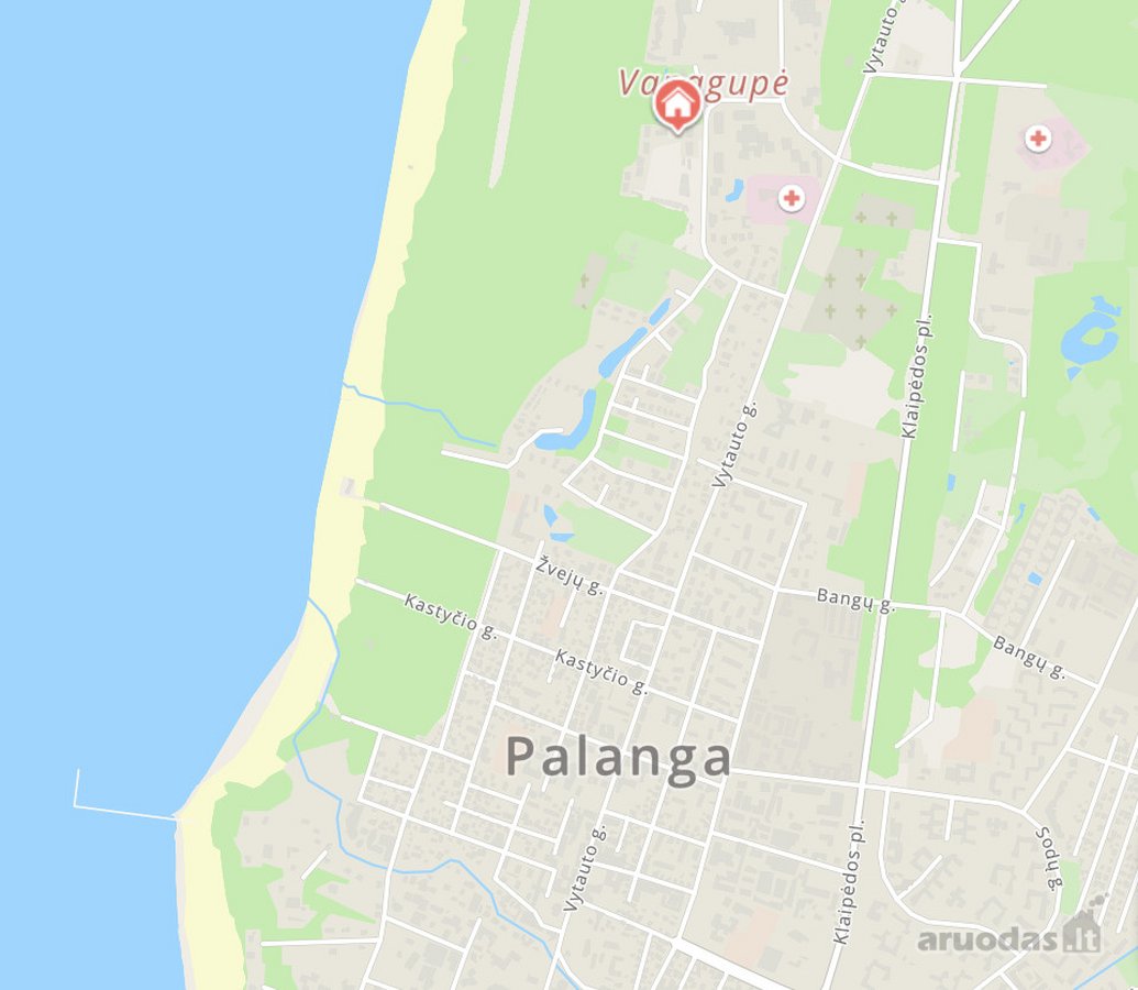 Prioritetinėje Palangos miesto vietoje, - nuotraukos Nr. 35