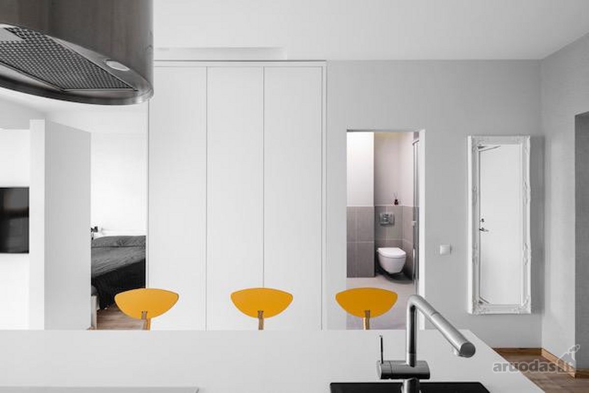 Nuomojamas "studio-flat" tipo loftas - nuotraukos Nr. 11
