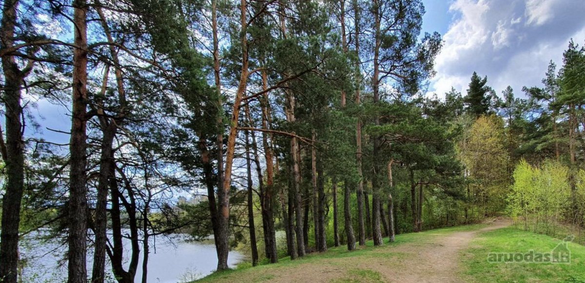 Vilnius - Didieji Gulbinai - Ežeras - Miškas - nuotraukos Nr. 7