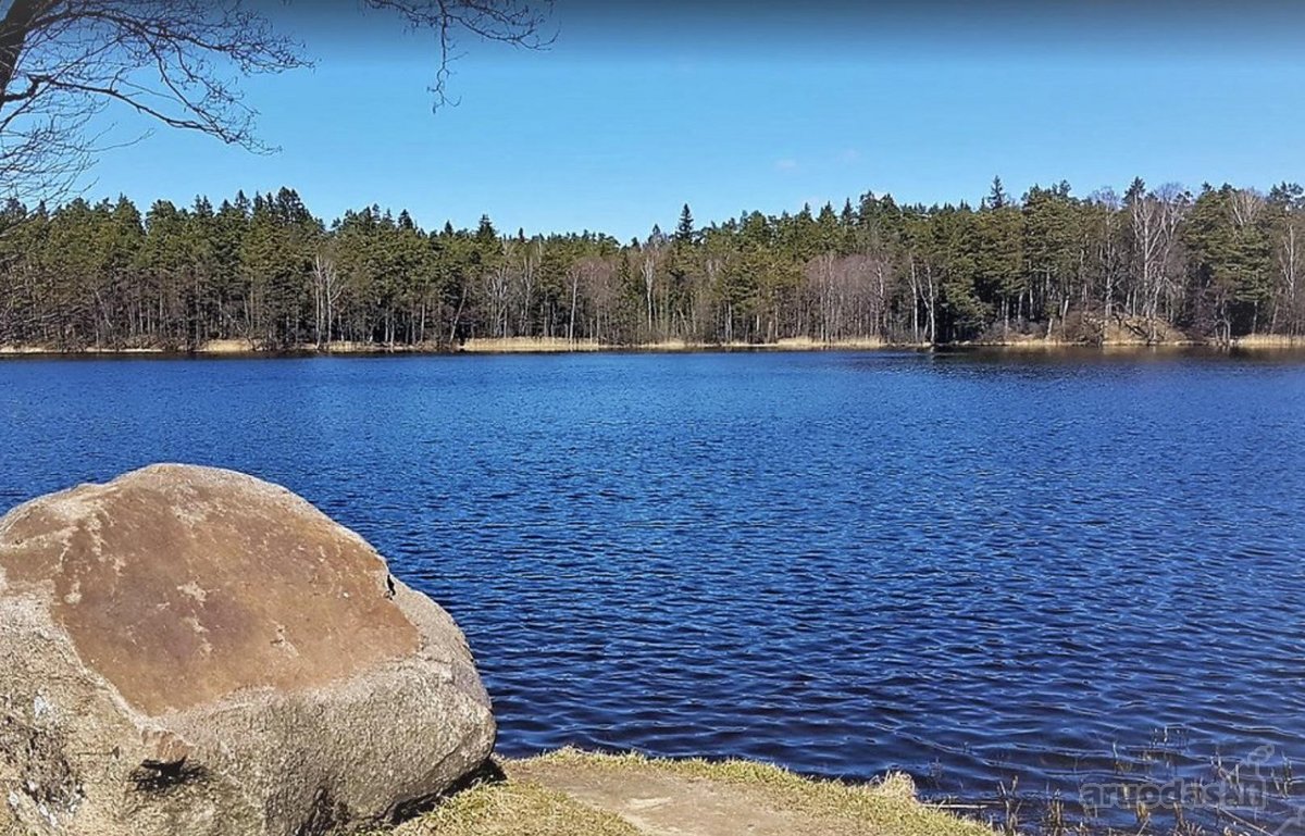Vilnius - Didieji Gulbinai - Ežeras - Miškas - nuotraukos Nr. 9