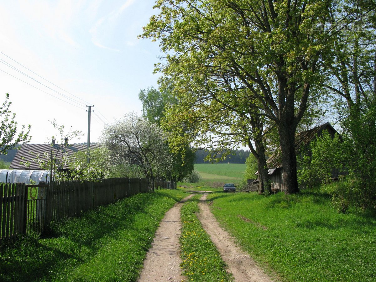 Parduodama sodyba ramioje ir vaizdingoje - nuotraukos Nr. 11
