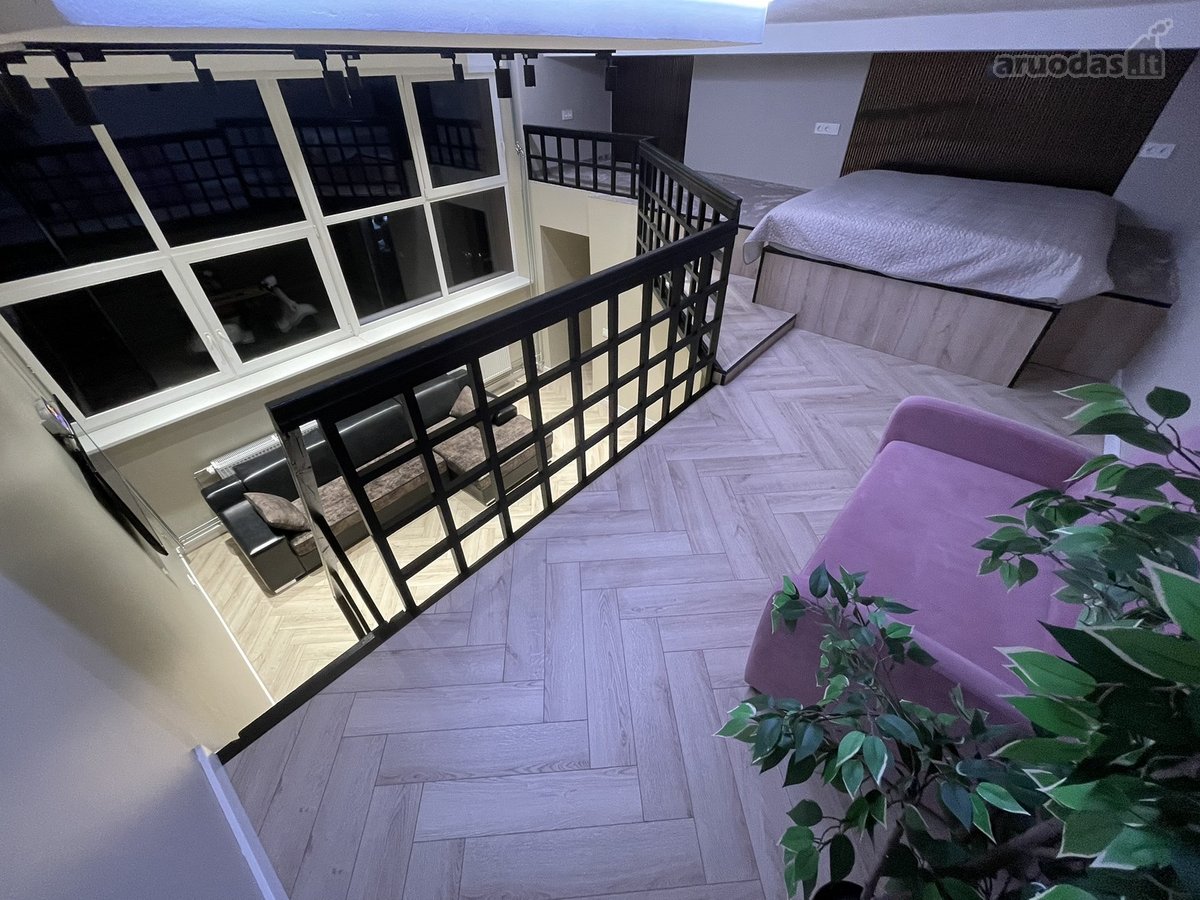 Centre prie Danės upės loftas! - nuotraukos Nr. 13