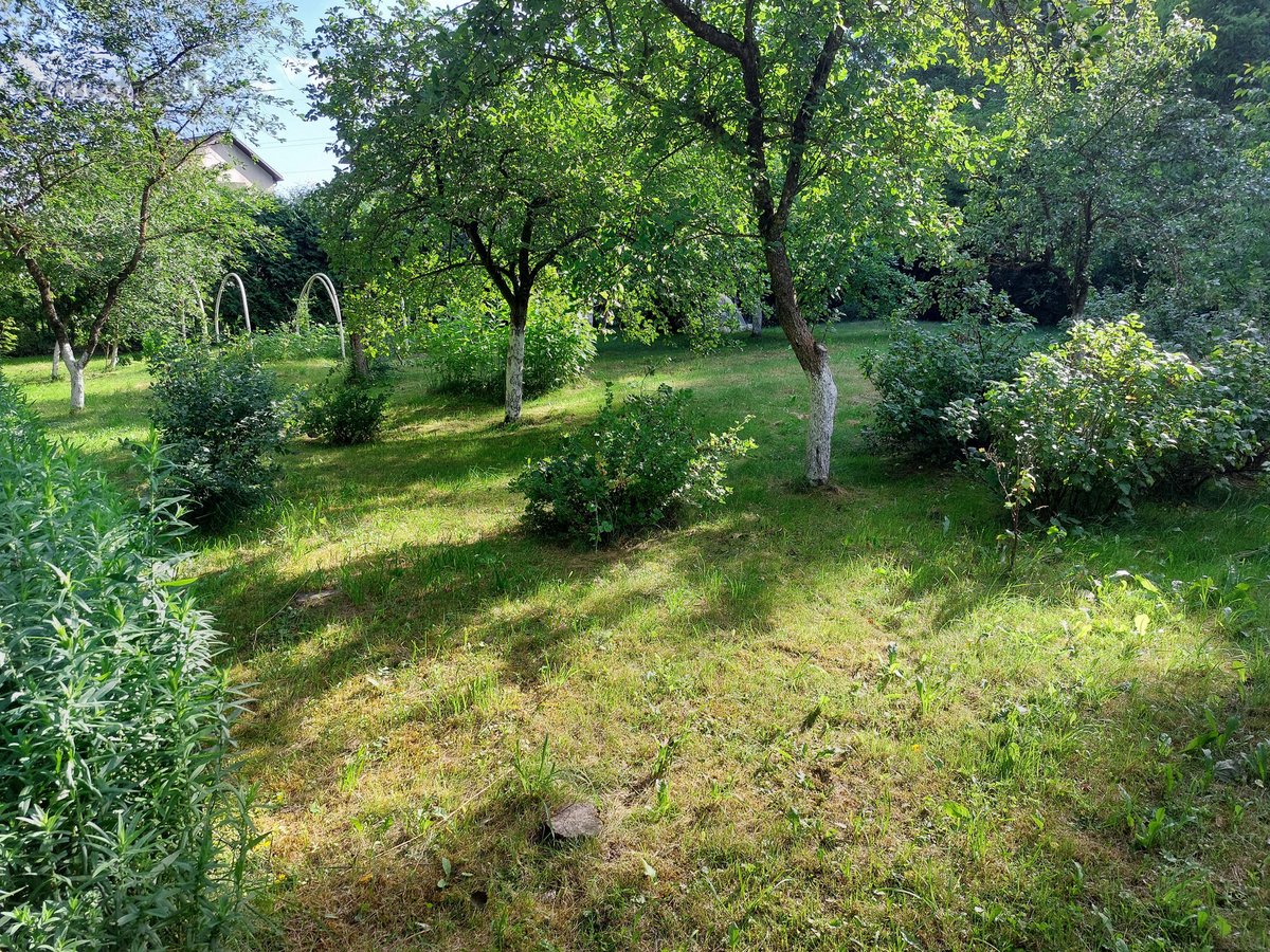 Parduodamas 6.83 a sodų sklypas sodų