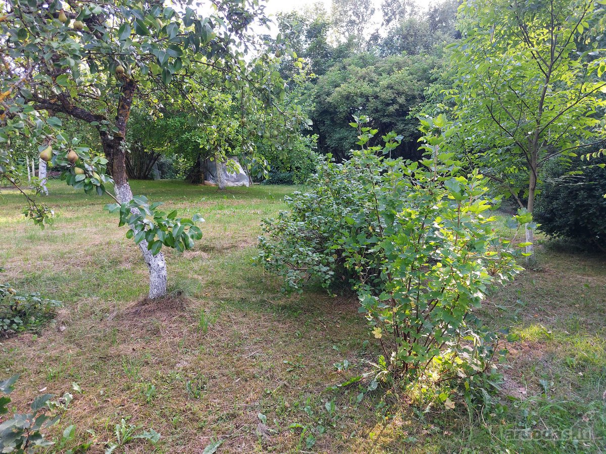 Parduodamas 6.83 a sodų sklypas sodų - nuotraukos Nr. 2