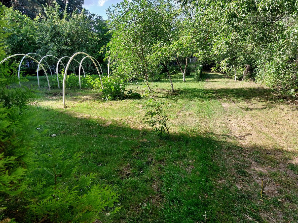Parduodamas 6.83 a sodų sklypas sodų - nuotraukos Nr. 7