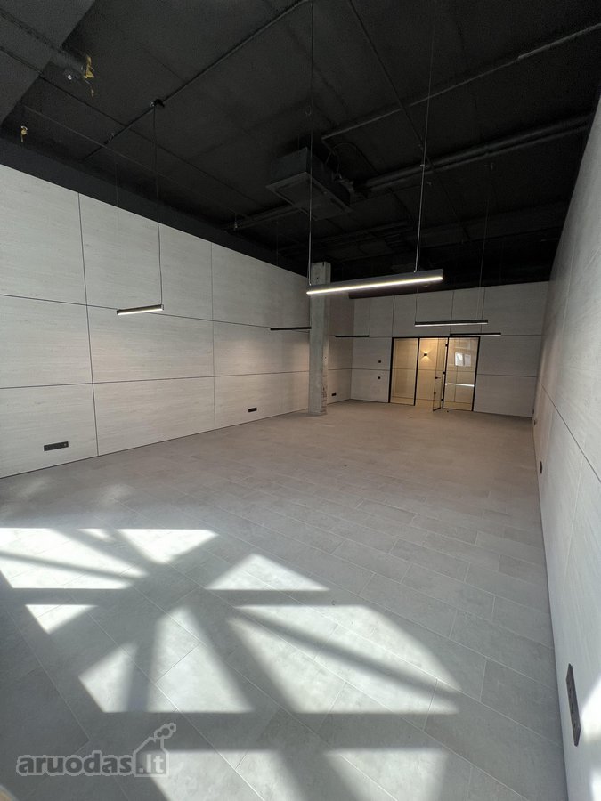 Klaipėdos centre, Nuomojamos išskirtinės