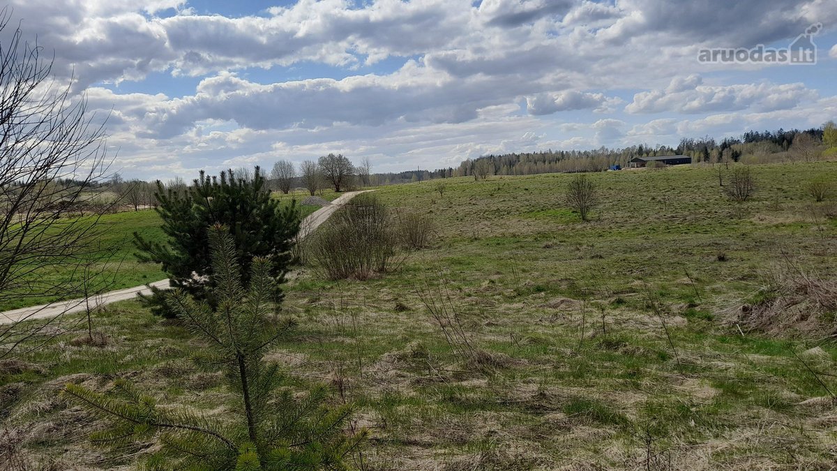 Parduodami du žemės ūkio paskirties sklypai - nuotraukos Nr. 6