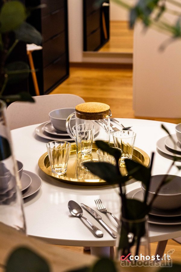 Alkos Apartamentai: Jūsų Poilsio Taškas Palangoje - nuotraukos Nr. 10