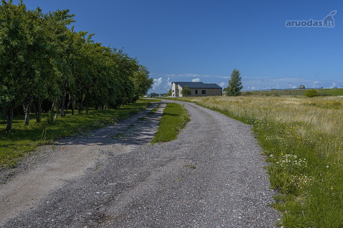 Palangos pl., Vydmantuose, šalia Palangos, - nuotraukos Nr. 2