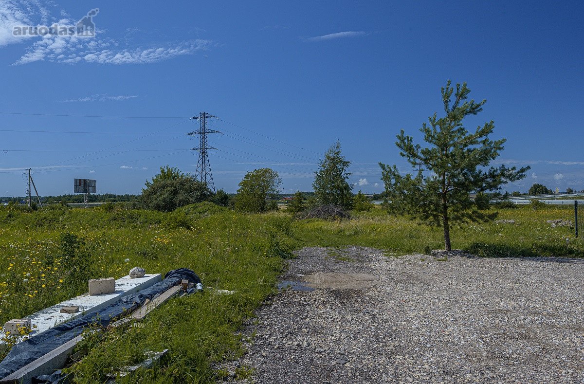 Palangos pl., Vydmantuose, šalia Palangos, - nuotraukos Nr. 4
