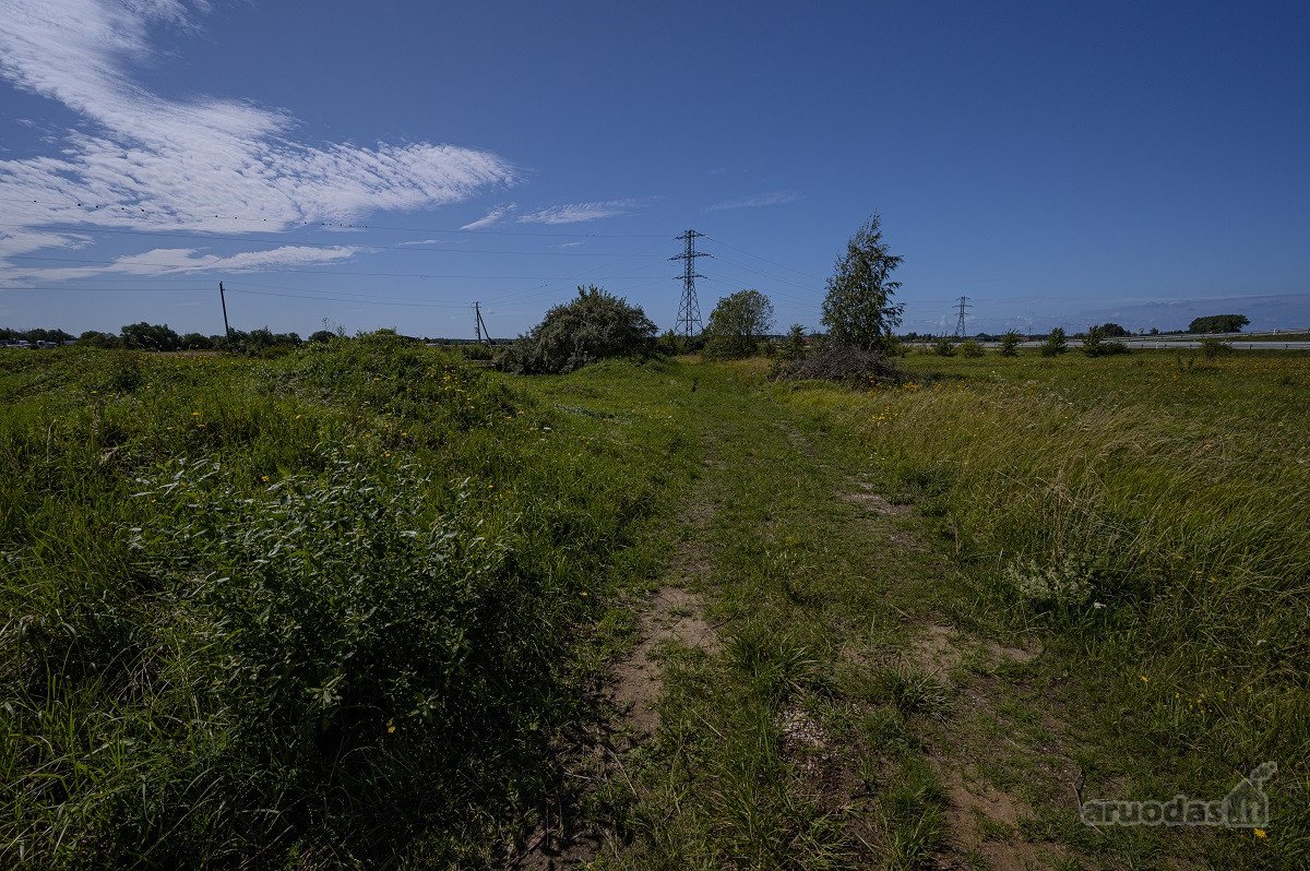 Palangos pl., Vydmantuose, šalia Palangos, - nuotraukos Nr. 5