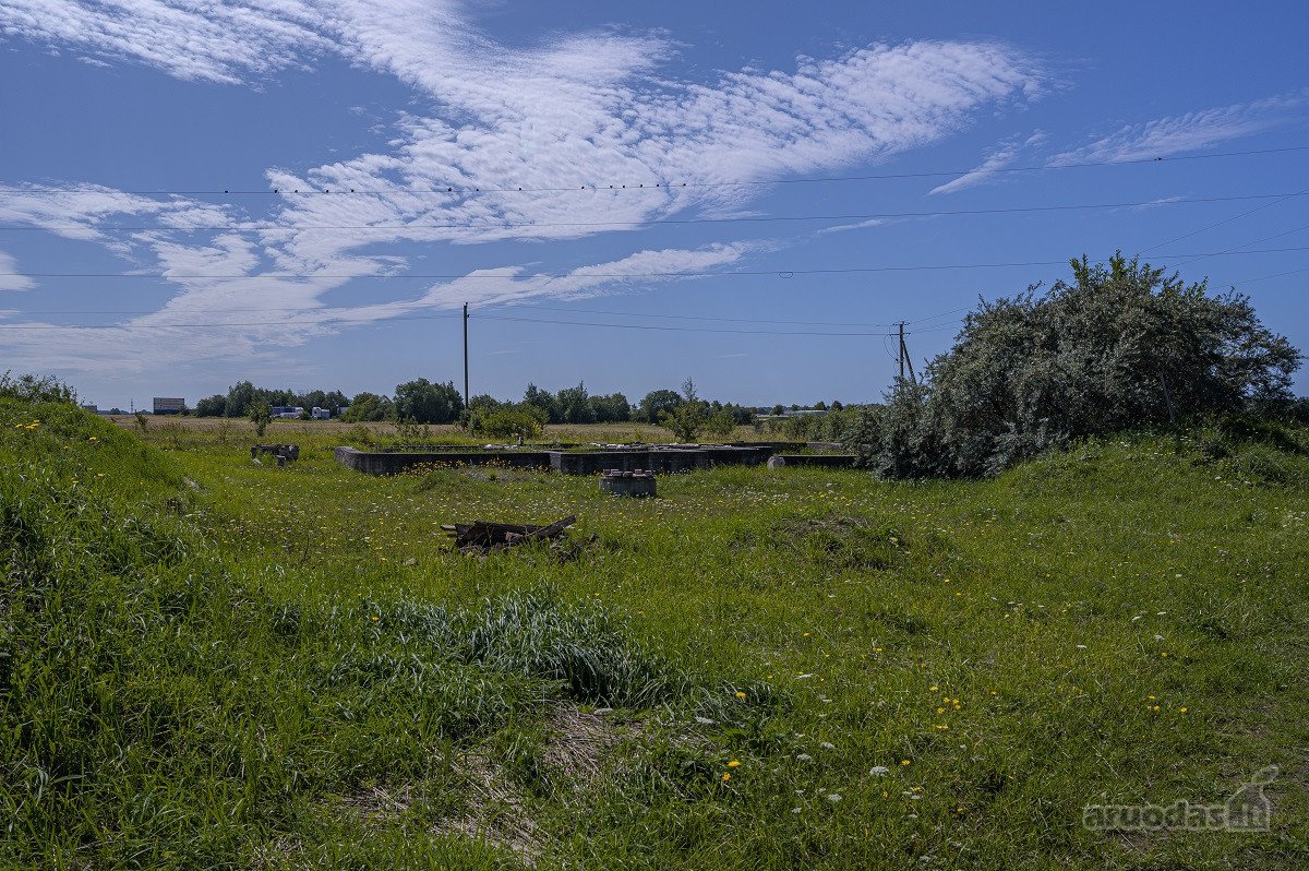 Palangos pl., Vydmantuose, šalia Palangos, - nuotraukos Nr. 6