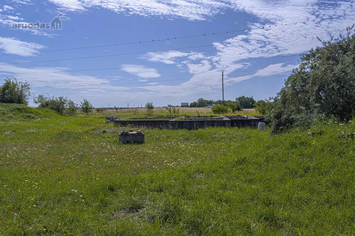 Palangos pl., Vydmantuose, šalia Palangos, - nuotraukos Nr. 7