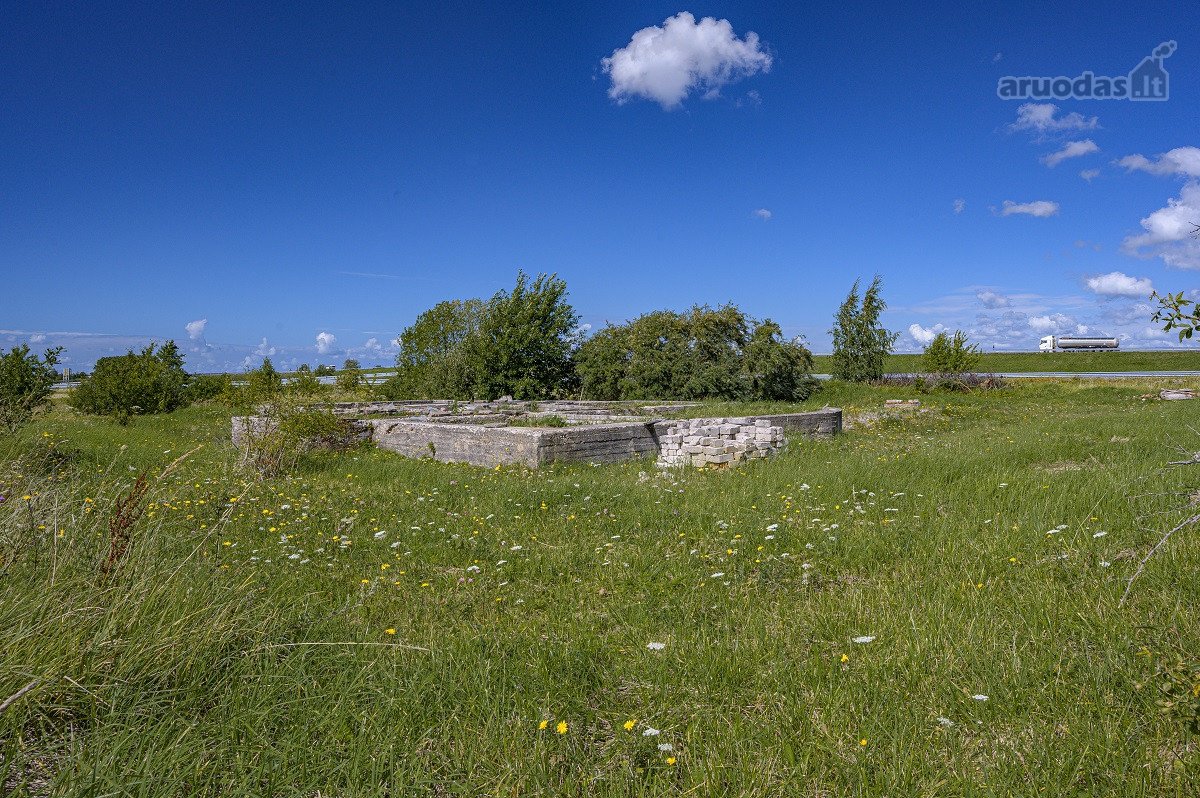Palangos pl., Vydmantuose, šalia Palangos, - nuotraukos Nr. 10