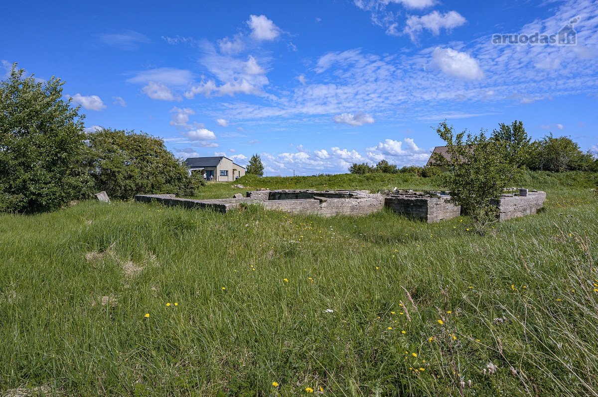 Palangos pl., Vydmantuose, šalia Palangos, - nuotraukos Nr. 11