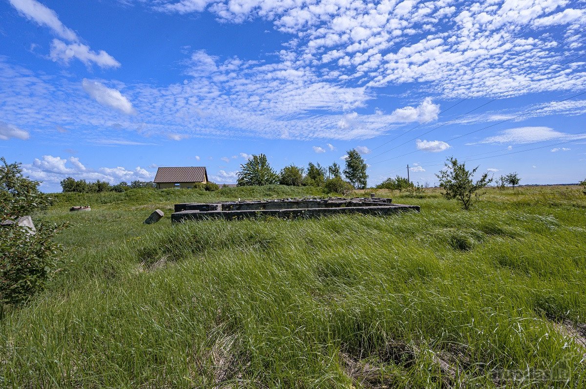 Palangos pl., Vydmantuose, šalia Palangos, - nuotraukos Nr. 12