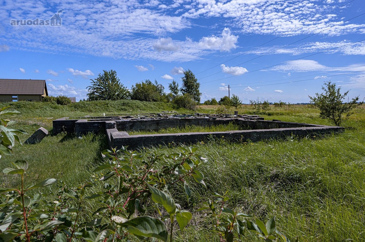 Palangos pl., Vydmantuose, šalia Palangos, - nuotraukos Nr. 13