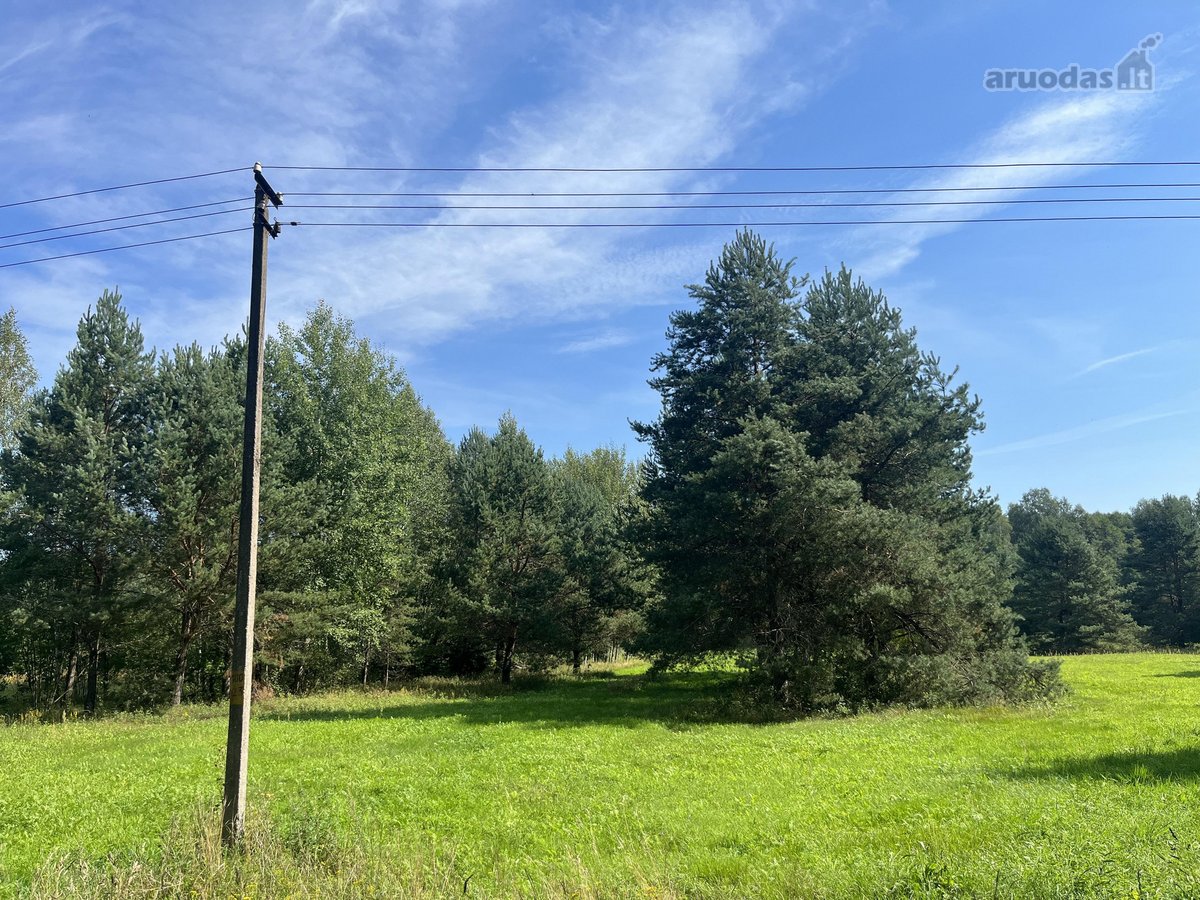 Sklypas randasi labai gražių mišku apsuptame - nuotraukos Nr. 2