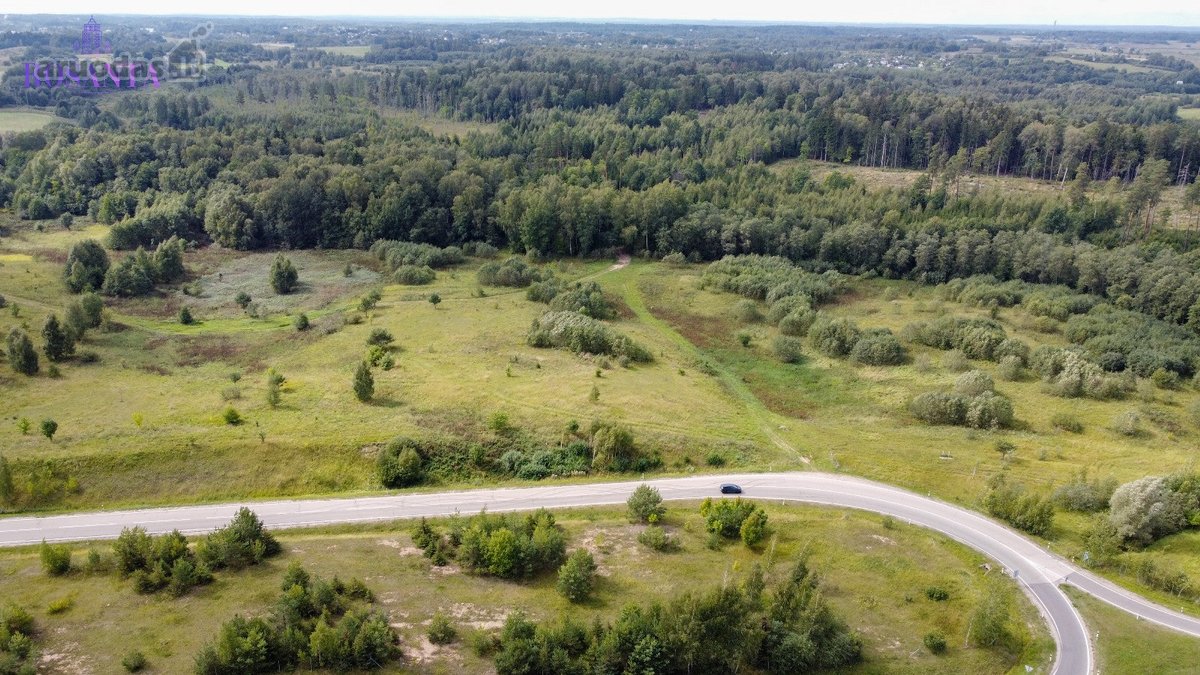 Parduodami Sklypai Vilniaus r. sav.avižienių - nuotraukos Nr. 9